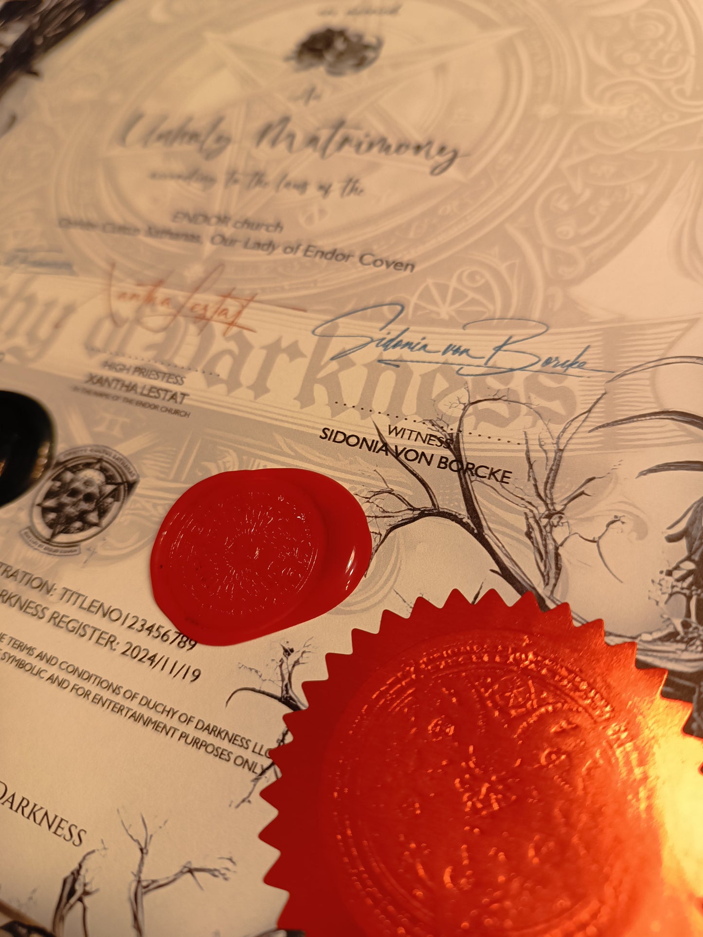 Tie the Knot in the Dark: Virtual Satanic Weddings at The Dark Place
